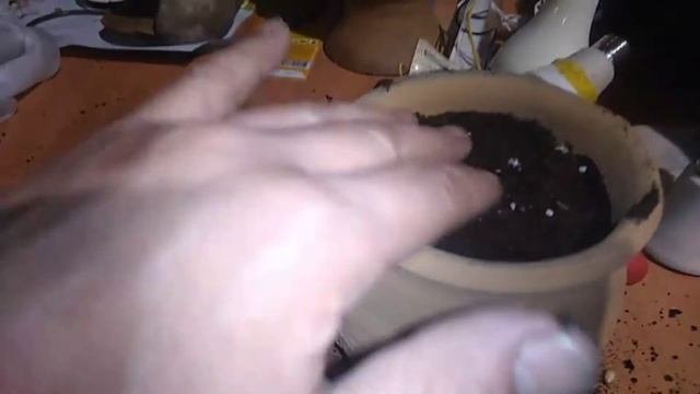 Мини Изолятор Молнии Водородное удобрение электро статический стимулятор роста.