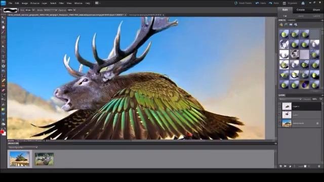 Hybrid Animals: Episode 1 - The Stawk