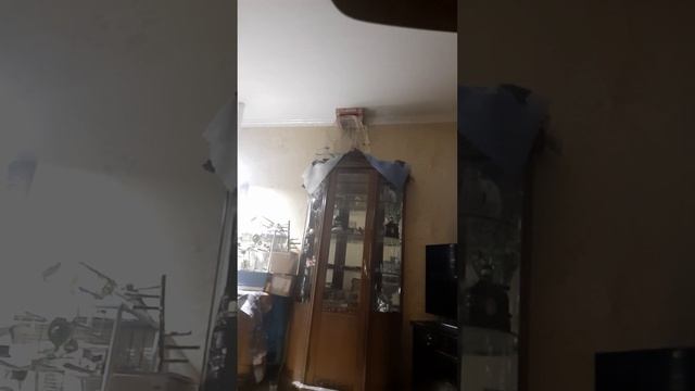 Мики лежит на яйцо и Снежана тоже я помогаю воды попить Мике и Снежане