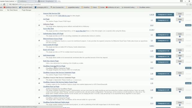 Configuration of Plugins on Cloudbees Jenkins Enterprise Server