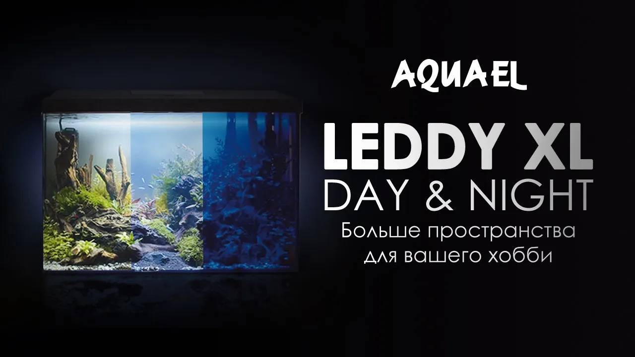 Аквариум AQUAEL LEDDY XL Day & Night  - больше пространства для вашего хобби