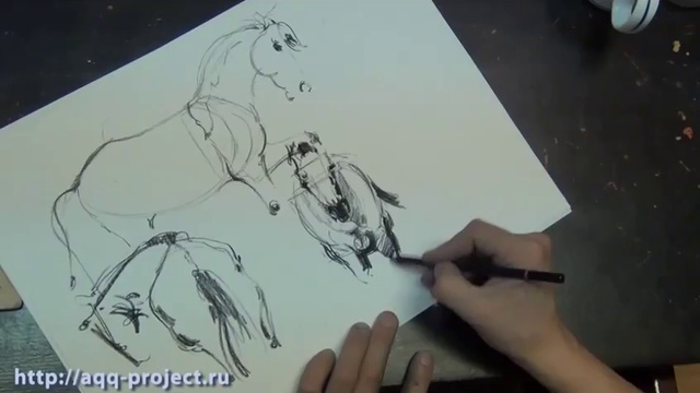 Как правильно рисовать лошадь