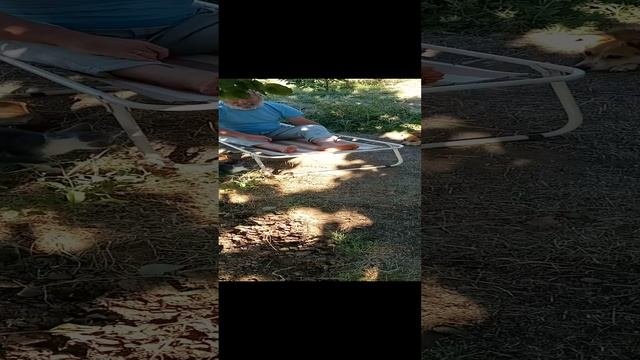 VID_20220823_172130.mp4