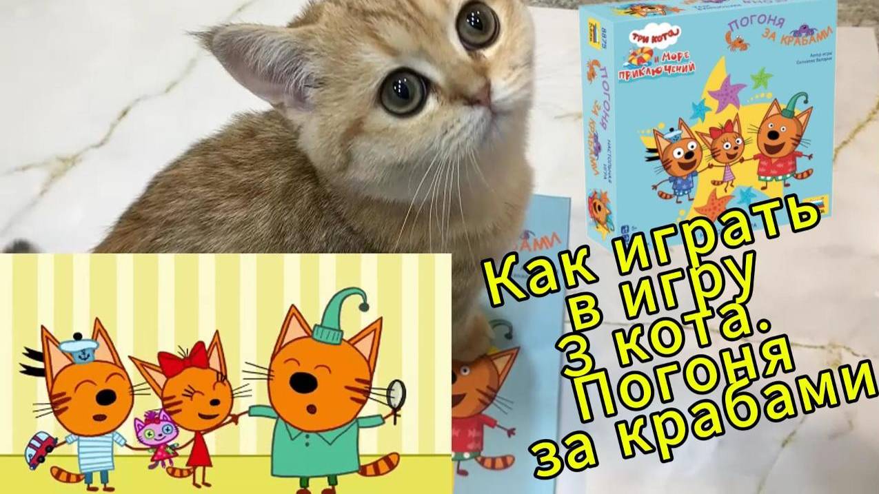 3 кота. Погоня за крабами. Как играть в игру?