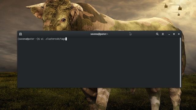 Cluster SSH - Manage Multiple Linux Servers Simultaneously