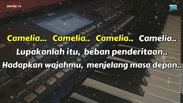 CAMELIA 2 KARAOKE DANGDUT SLOW NADA PRIA - VERSI GERRY MAHESA