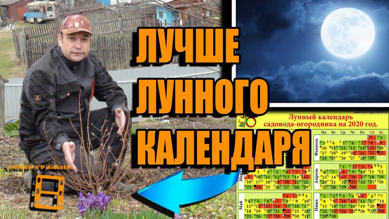 ЛУЧШИЙ КАЛЕНДАРЬ САДОВОДА И ОГОРОДНИКА. САМЫЙ ТОЧНЫЙ КАЛЕНДАРЬ САДОВОДА. САД (ОГОРОД) И ТЕПЛИЦА
