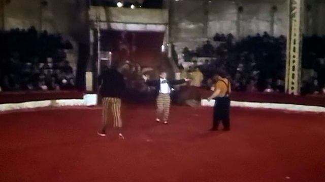 1987 год. Тюмень. Цирковое представление