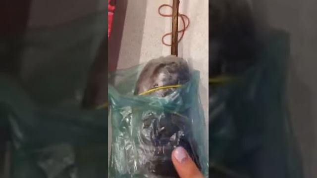 Саженцы от "Агропоиск"