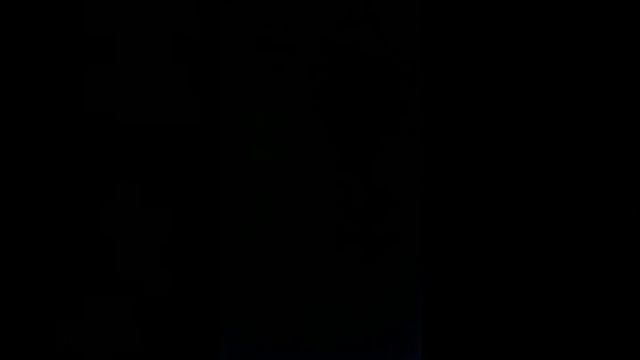 Обзор тростей "Vandoren"