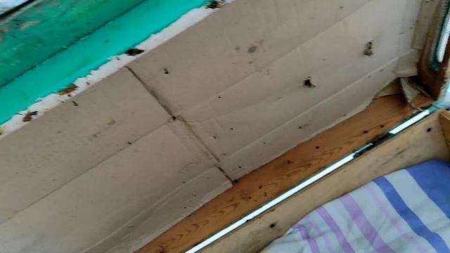 как дышит клуб пчел?