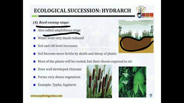 HYDROSERE