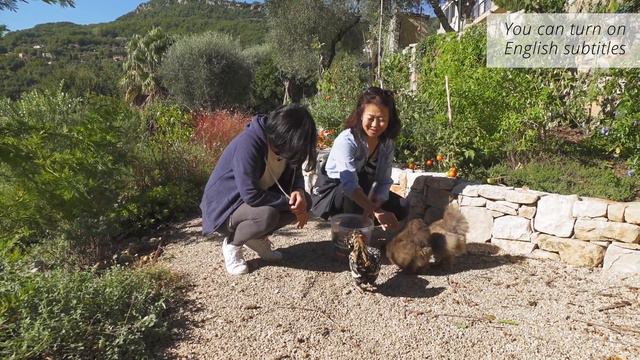 SUB海外旅行vlog夫婦旅行で南仏コートダジュールへ新鮮フルーツとハーブ狩り美味しいカクテル作り自然を愛でるハイキングcotedazur  GOROGORO KITCHEN