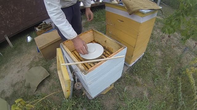 утепление при подкормке пчел сиропом