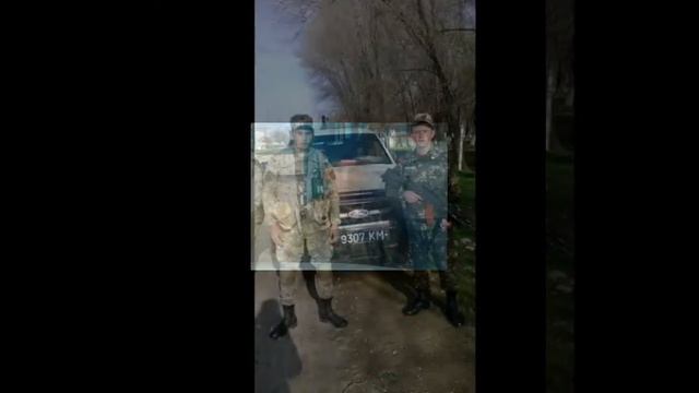 Пауль Зиберт