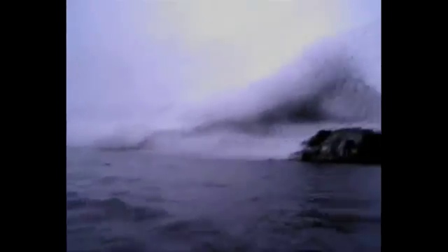 Состояние надогранизма у животных и людей