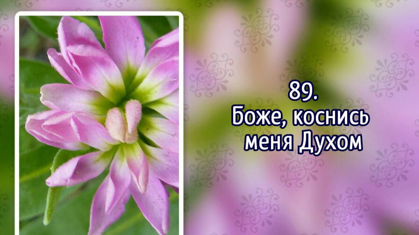 Гимны надежды 89 Боже, коснись меня Духом (-)