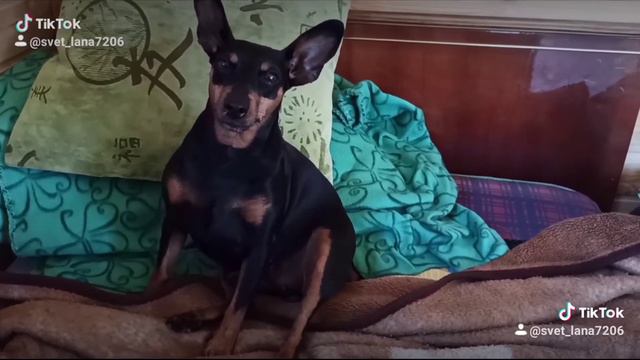 Чего хочу, кого незнаю