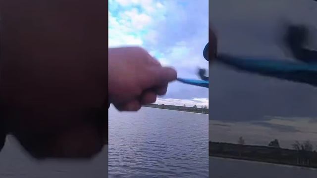ПОИМКА АМУРА!