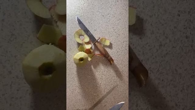 1000021784.mp4