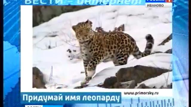 1008 14 30 xvid