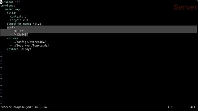 NaiveProxy 通过docker部署 | 使用docker compose一键部署NaiveProxy,适合小白用户