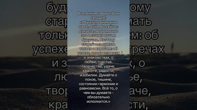 VID_20240814_191617_840.mp4