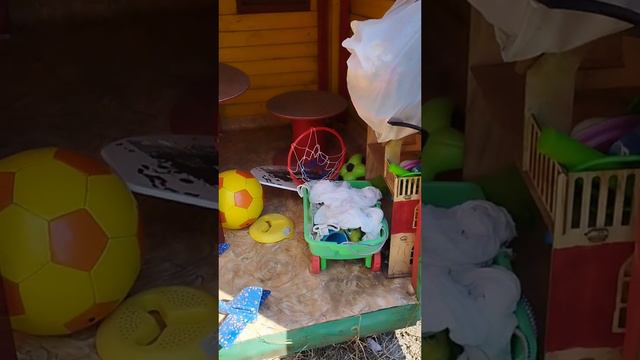 Осы