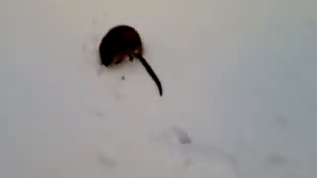 Вот такая вот рыбалка