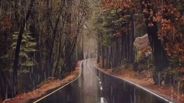 Rain sounds for relaxation and sleep / звуки дождя для сна и отдыха #16