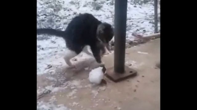 Настроение