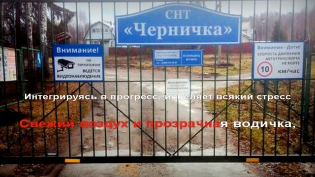 "Черничка" в исполнении автора Евгения Смирнова.