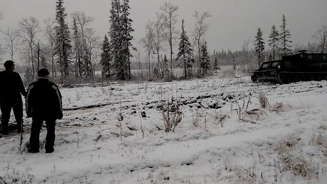 Энергетика. Флот. Нефтегазовый комплекс. Движение в Арктику.