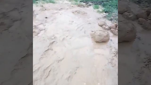 Колодец 5 колец Новополоцк, в твердое глине и в крупном водоносным песке.