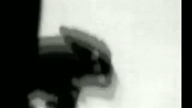 тени