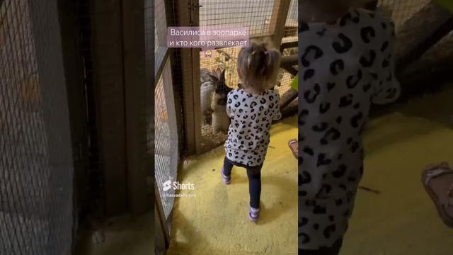 Василиса в зоопарке #внучка #белгородскаяобласть