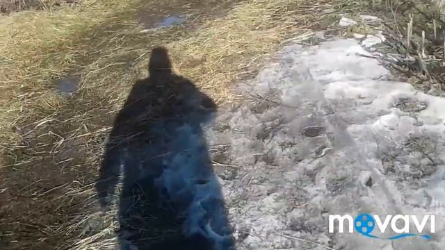 Репортаж с дырка..я засранка???
