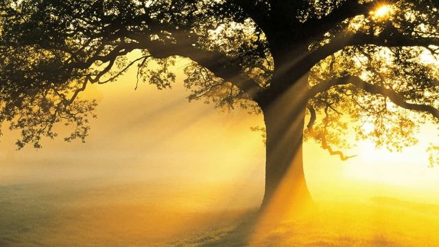 3 HOURS Best Relaxing Music Minimalist | Voice | Meditation - Relax - Stress Relief - Spa