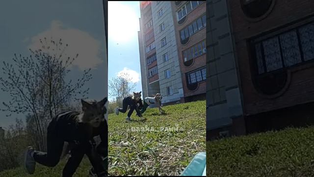 ещё видео со сходки (автор видео моя лп)