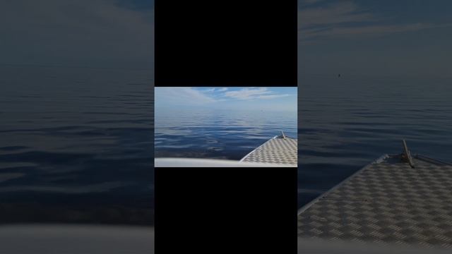#Обская губа осень 2023