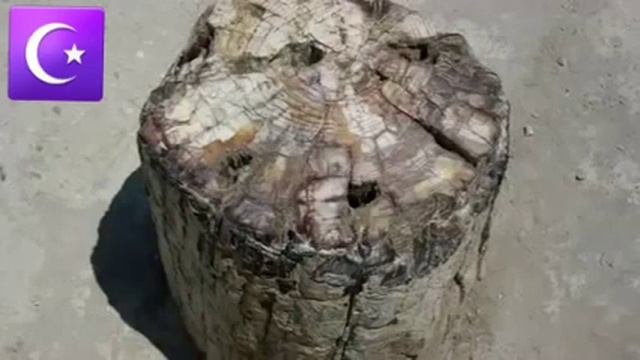 История как бедуин Принял Ислам ☪