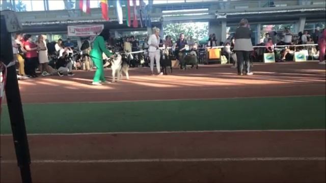 мажор и юра.mp4