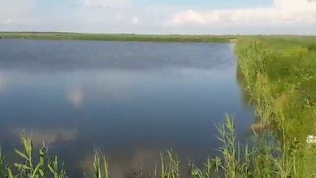 Подготовка к зарыблению прудов пресноводным лобстером