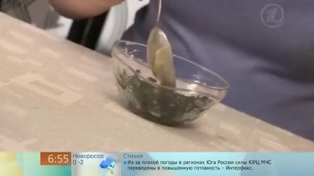 Мазь из алоказии при артирте. Народная медицина