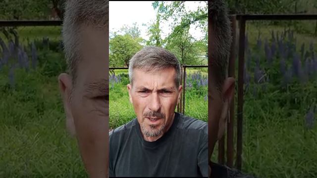 Перезагрузка сознания, обновление системы программного обеспечения человека