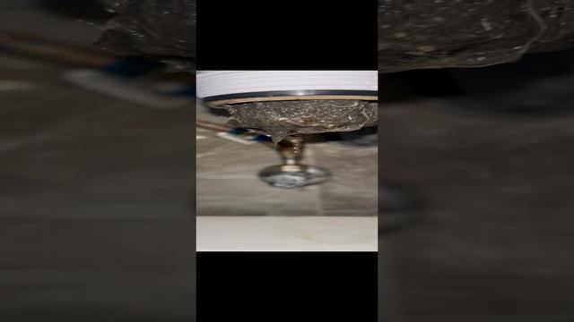Какая прелесть