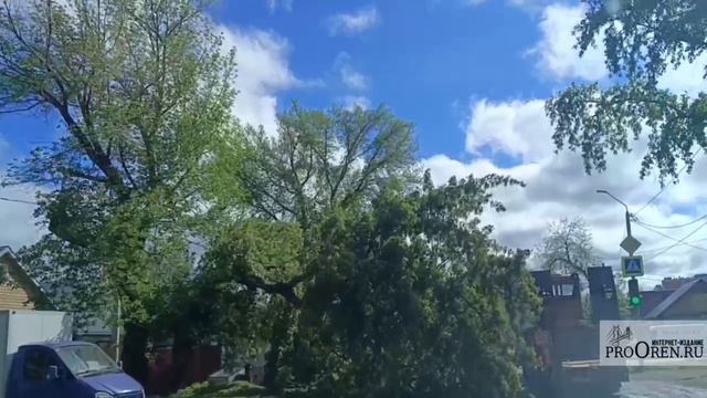 На ул. Немовской в Оренбурге упало дерево. 

Движение затруднено, водители объезжают по одной полосе