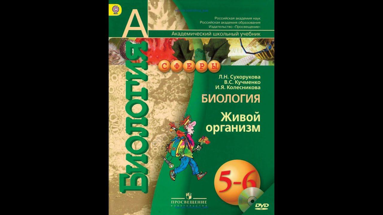 Биология (Л.Н.Сухорукова) 5-6к ИТОГ 3 главы