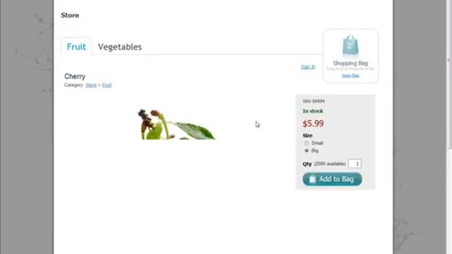 Newbie Marketers - Getting started   Ecwid  E-Commerce Widgets.mp4