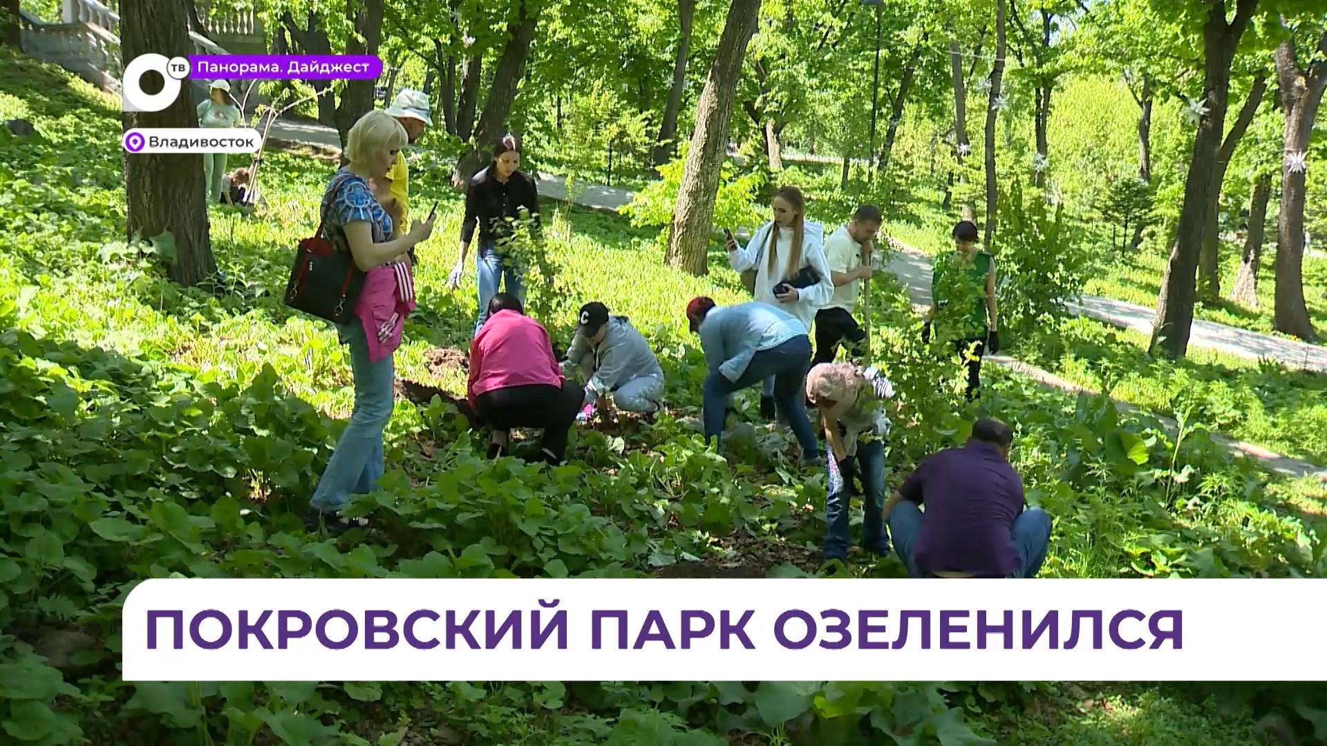 День предпринимательства отметили необычным событием в Покровском парке Владивостока